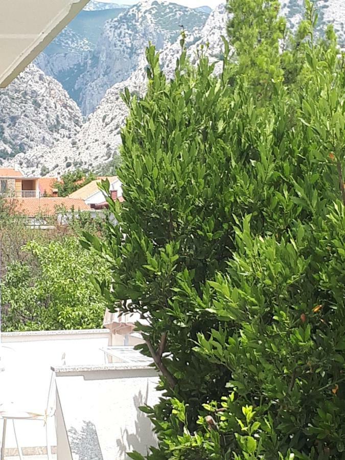 Apartmani Korina Starigrad Paklenica Exteriör bild
