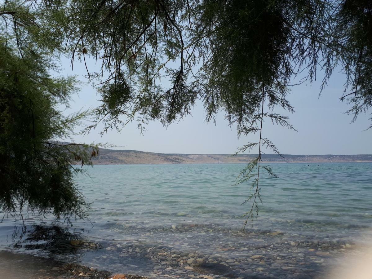 Apartmani Korina Starigrad Paklenica Exteriör bild