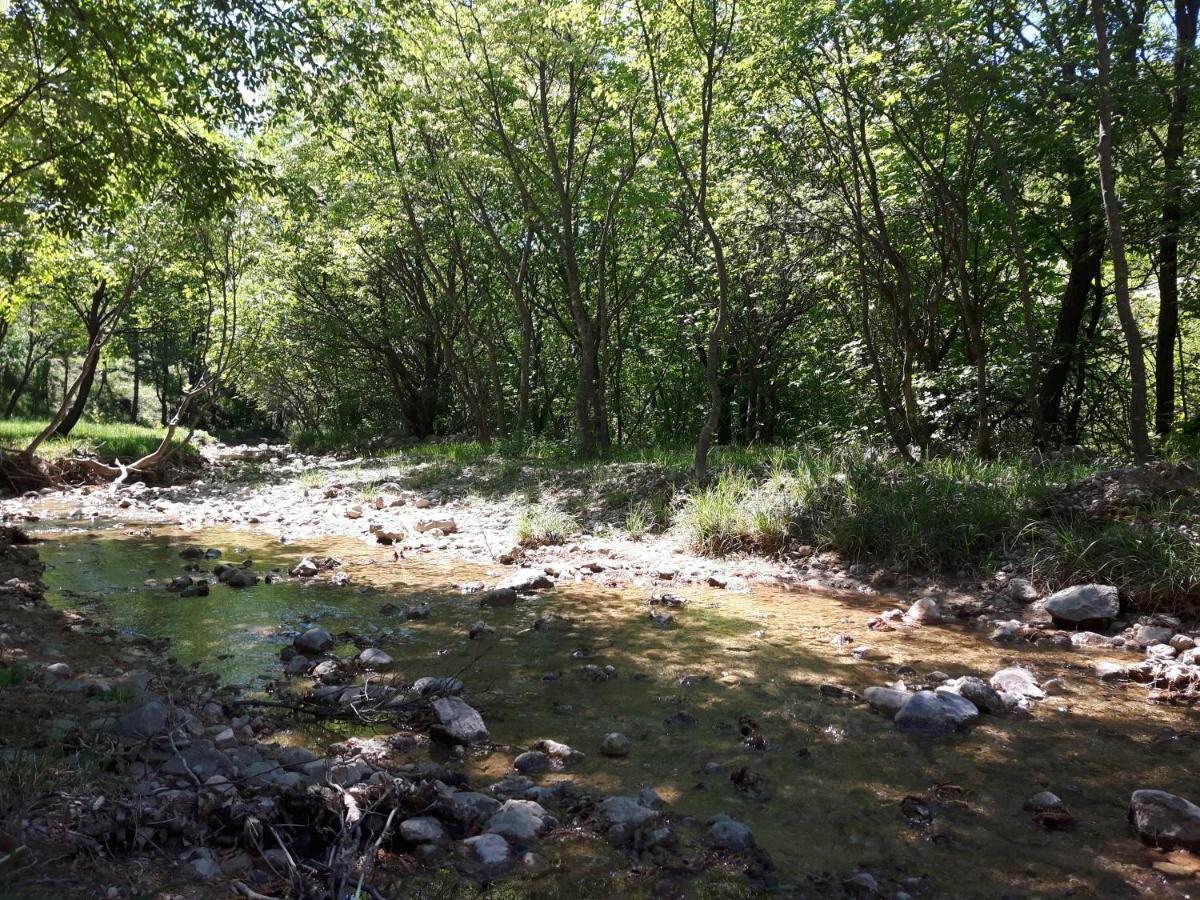 Apartmani Korina Starigrad Paklenica Exteriör bild